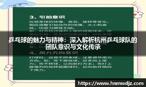 乒乓球的魅力与精神：深入解析杭州乒乓球队的团队意识与文化传承